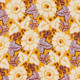 1525146_53545_10-AV-VESTIDO-CURTO-ESTAMPA-CALI