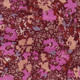1525451_53789_10-AV-SAIA-MIDI-ESTAMPA-VIOLET