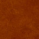 1525825_04360_10-I-SHORT-CHAMOIS